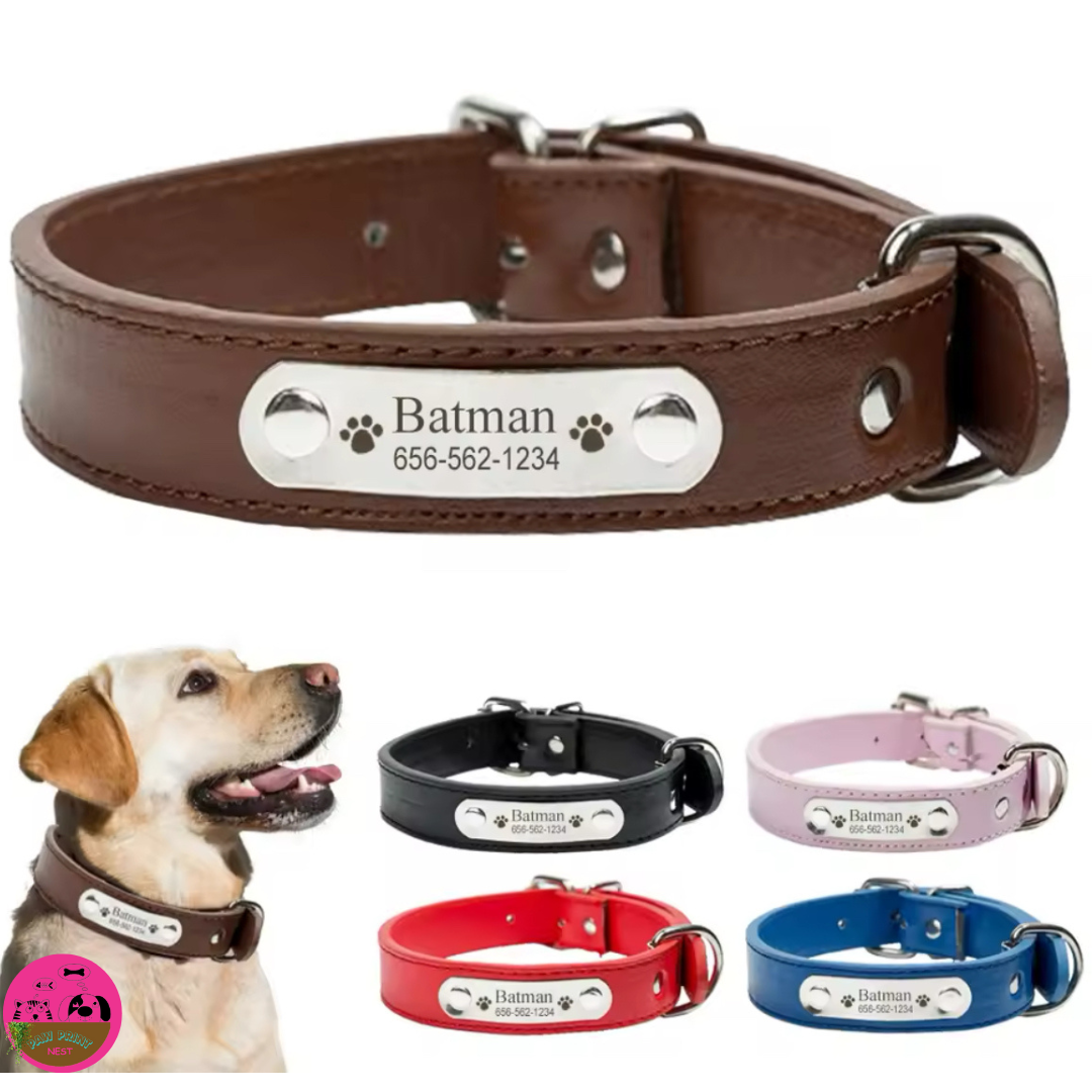 Colorín Canino - Collar Personalizado para Mascotas
