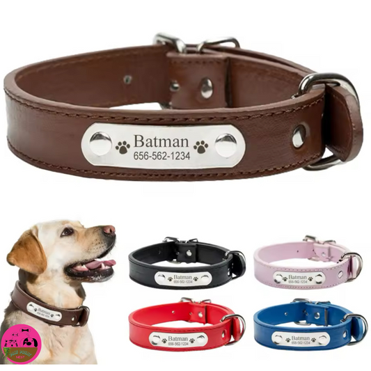 Colorín Canino - Collar Personalizado para Mascotas