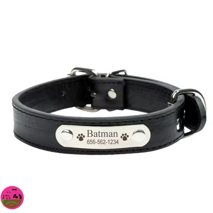 Colorín Canino - Collar Personalizado para Mascotas