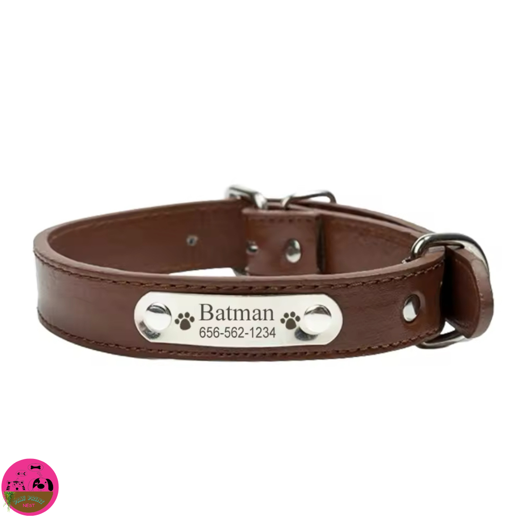 Colorín Canino - Collar Personalizado para Mascotas