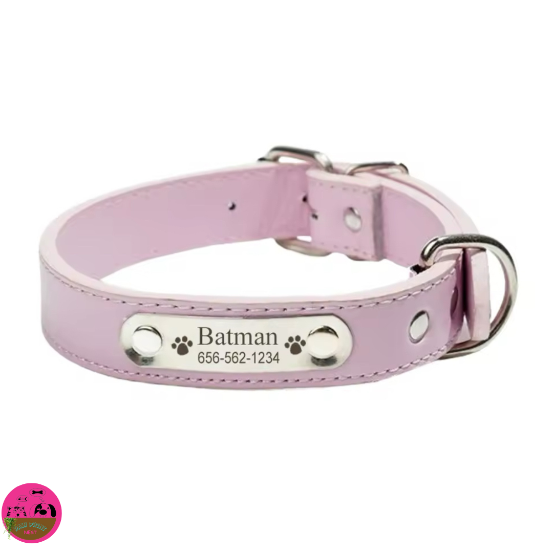 Colorín Canino - Collar Personalizado para Mascotas