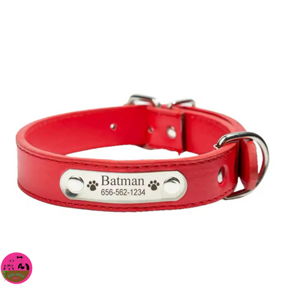 Colorín Canino - Collar Personalizado para Mascotas
